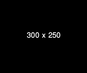 300 x 250  