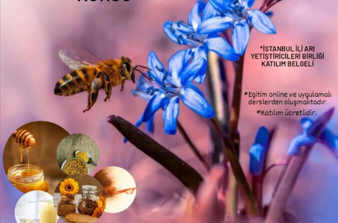 Arı Ürünleri Üretimi ve Ballı Bitkiler Kursu Başvuruları Başladı  